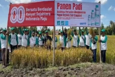 Wujudkan Swasembada...