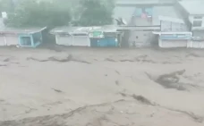 307 Orang Tewas dalam...