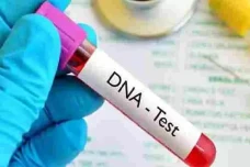 Tes DNA, Penentuan Nasab...