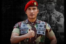 Profil Wakil Panglima...