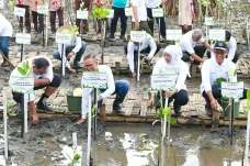 Tingkatkan Ekonomi Pesisir,...