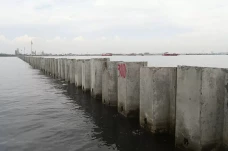 Heboh Tanggul Beton...