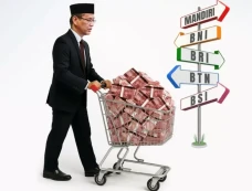 Rawan Dikorupsi, Penggunaan...