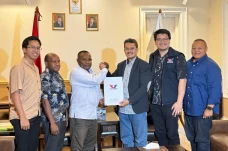 Keterwakilan Anak Muda...