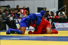 Suryo Nugroho Sumbang...