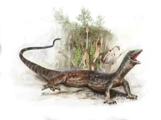 Dinosaurus Campuran...