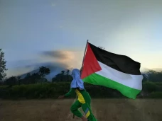 Palestina Daftar Anggota...