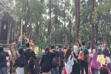 Besok Taman Margasatwa...