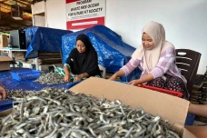 Olah Limbah Ikan Jadi...