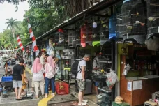 Pemprov Jakarta Bongkar...