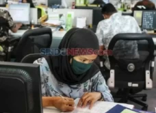 Program Magang Berbayar...