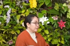 Bikin Haru, Ibu Timothy...