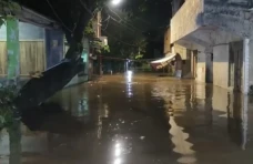 Banjir Kiriman Setinggi...