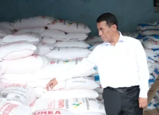 Tanya Langsung ke Petani,...
