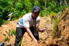 PLN Icon Plus Wujudkan...