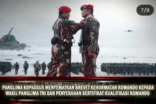 Wakil Panglima TNI Terima...