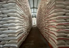 Indonesia Catat Surplus...