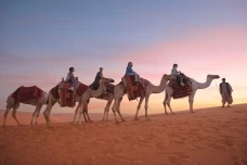 Arab Saudi Gelar Travel...