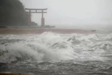 Ilmuwan Jepang Kembangkan...
