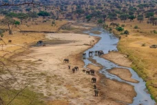 Mengapa Afrika Memiliki...