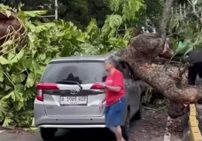 Ini Penampakan Mobil...
