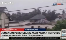 DPR Usul Pemerintah...