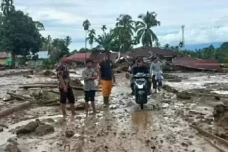 Negara Harus Pastikan...