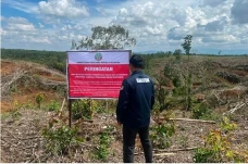 Kemenhut Identifikasi...