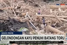 Anggota DPR Desak Menhut...