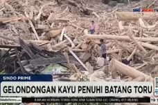 Bencana Sumatera, Rokhmin...