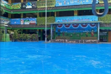 SDN Kalibaru 01 Terapkan...