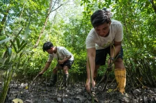 Chevron Kolaborasi Tingkatkan...