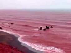 Warna Laut Teluk Persia...