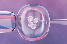 CryoTech Hadir di Indonesia,...