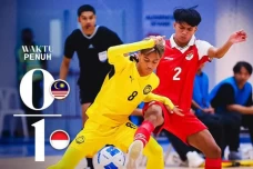 Ganyang Malaysia, Timnas...
