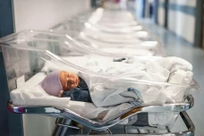 Punya 100 Anak Belum...