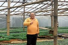 Wujudkan Ketahanan Pangan,...