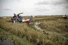 Indonesia Capai Swasembada...