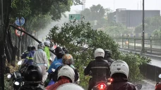 Hujan Deras, Pohon Tumbang...