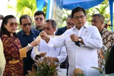 Gelar Festival Nanas,...