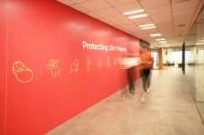 Komitmen Proteksi, IFG...