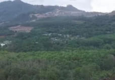 DPR: Langkah Pemerintah...