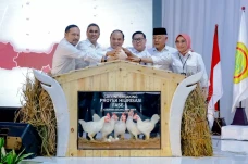 Dukung MBG, Berdikari...