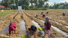 Pertamina Patra Niaga...