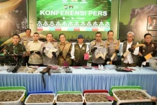 Polda Riau Tangkap 15...