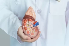 Perjuangan Panjang Vidi...