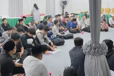 Pendaftar Mudik Gratis...