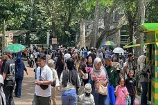 Ada Night Zoo, Ragunan...