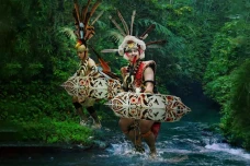 Spirit of the Rainforest...