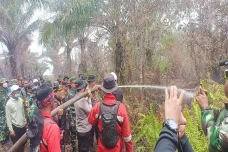 Polres Pelalawan Tangkap...